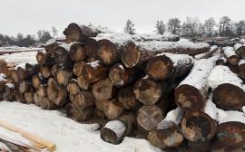 Дърво за целулоза