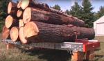 Дънерен лентов трион Kanada -HD36 |  Дървообработваща техника | Дървообработващи машини | Drekos Made s.r.o
