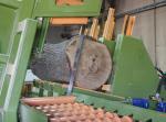 Друга техника Pásová Linka na pořez kulatiny |  Дървообработваща техника | Дървообработващи машини | Drekos Made s.r.o