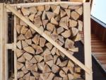 Дърво за горене Бук |  Гориво, брикети | 19th-Wood s.r.o.