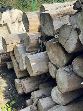 Teak Трупи за рязане |  Тропически дървета | Трупи | SOFT IT SP .ZO.O SPÓŁKA Z OGRANICZONĄ ODPO