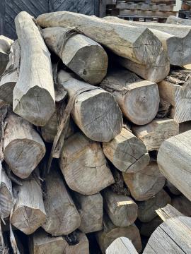 Teak Трупи за рязане |  Тропически дървета | Трупи | SOFT IT SP .ZO.O SPÓŁKA Z OGRANICZONĄ ODPO