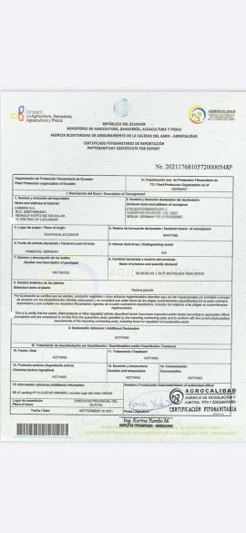 Teak Трупи за рязане |  Тропически дървета | Трупи | SOFT IT SP .ZO.O SPÓŁKA Z OGRANICZONĄ ODPO