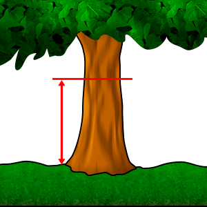 Измерване - Диаметър на височина #1